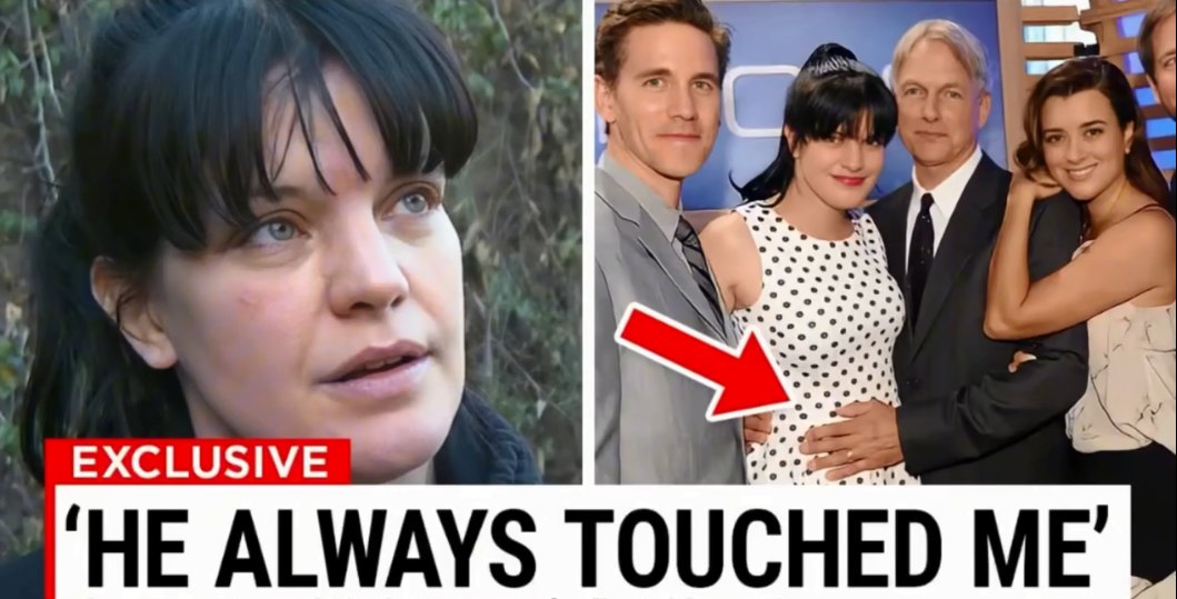Pauley Perrette and Mark Harmon Finally Address Their Off-Screen Drama!