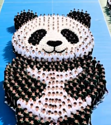 AI Panda Animation: Revolutionizing Creativity with Artificial Intelligence