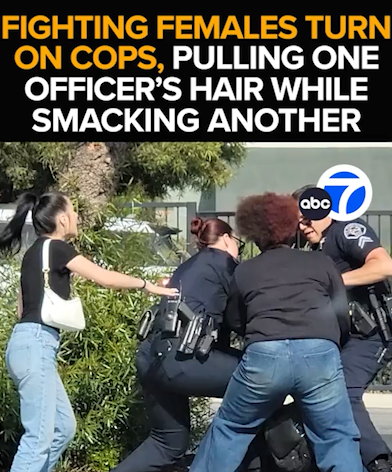 Chaos at San Bernardino School: Students Attack Officers During Fight Break-Up