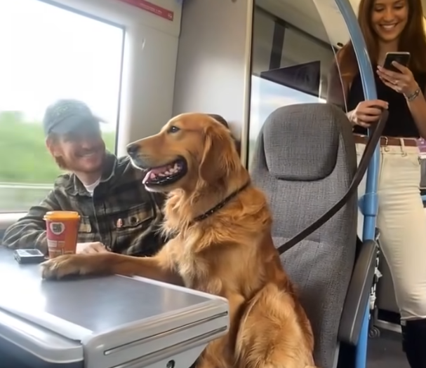 A Train Ride and a Knowing Dog