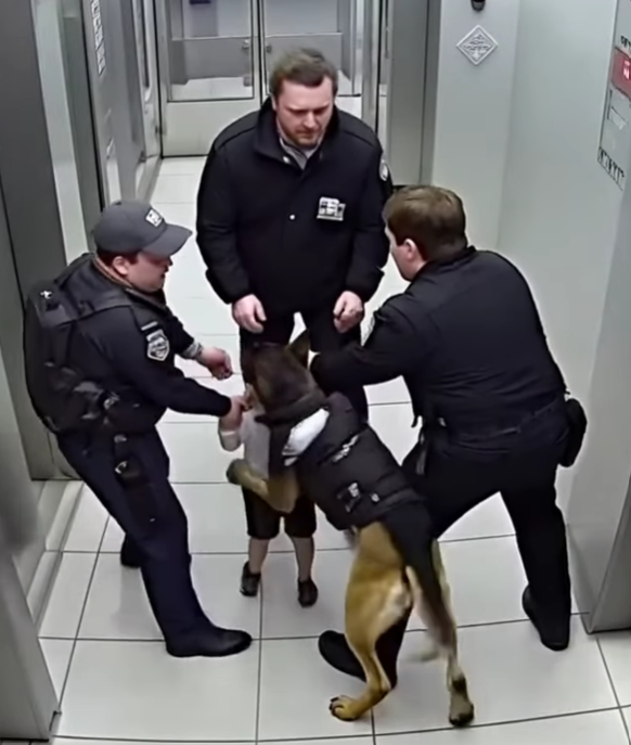 Dog attacking children