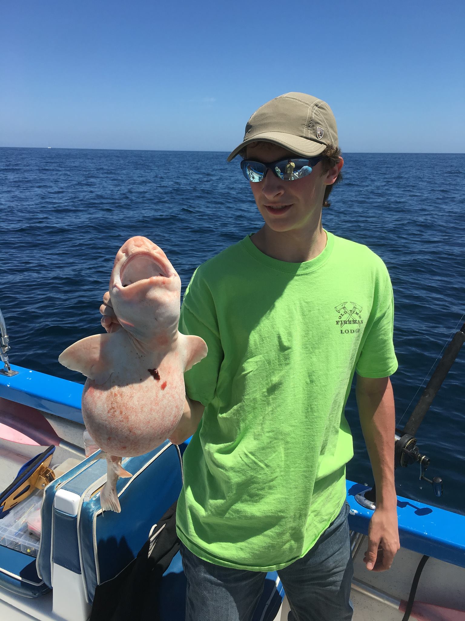 Alien Fish Mystery Solved – after studying the photos the experts agree that the strange