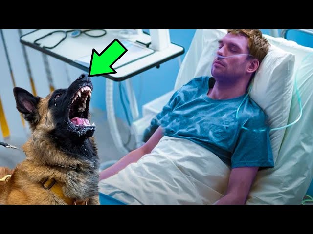 Dog Was About to Say Goodbye to Its Dying Owner, Then It Noticed Something ODD & Stopped the Doctor!
