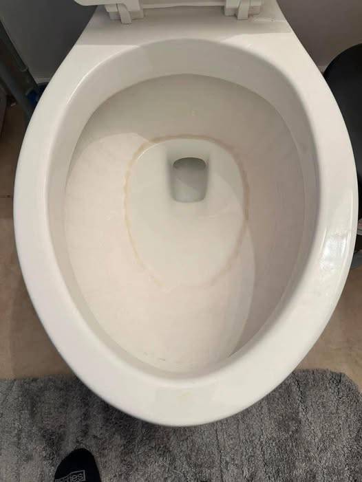 The Water Ring Nightmare: How I Finally Beat the Stains That Wouldn’t Go Away