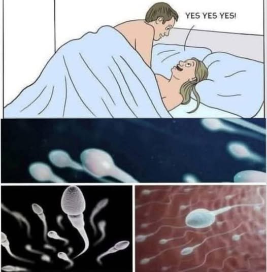 Studies reveal that swallowing your partner’s semen…. Read More