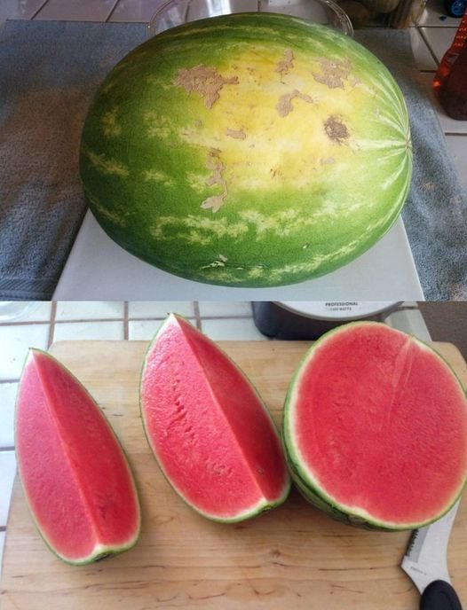 How to Pick the Freshest Produce Every Time
