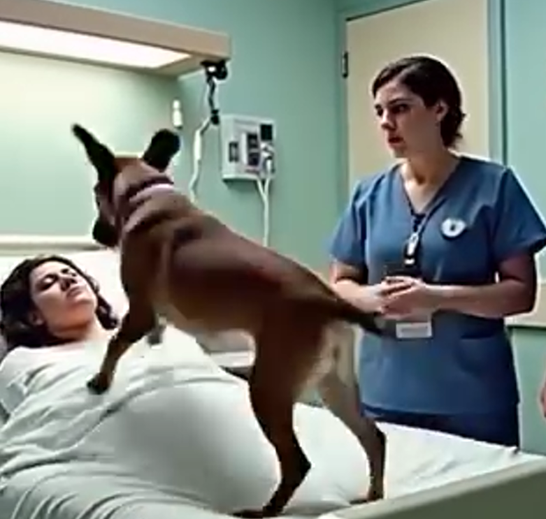 Dog visits hospital to say final farewell to dying man
