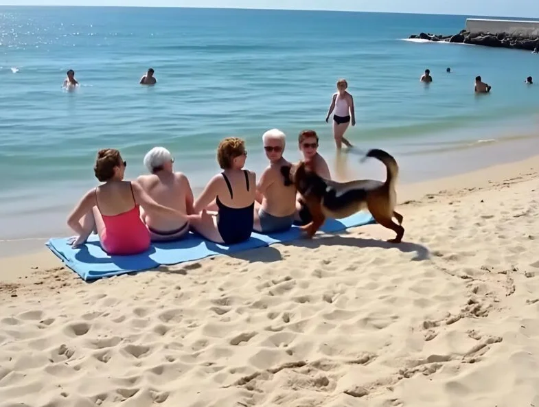 The friends were relaxing on the beach when suddenly a dog ran up to them and started barking loudly: one of the women suddenly turned pale as she looked carefully at the dog’s fur