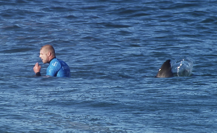 Surfer Fights Off Shark During Competition