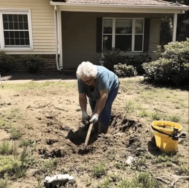 Sixty Years of Silence, Broken by Love