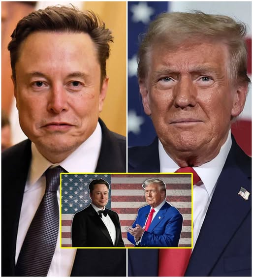 Trump Announces Revocation of Elon Musk’s U.S. Citizenship – Musk’s Fiery Response Leaves World Reeling