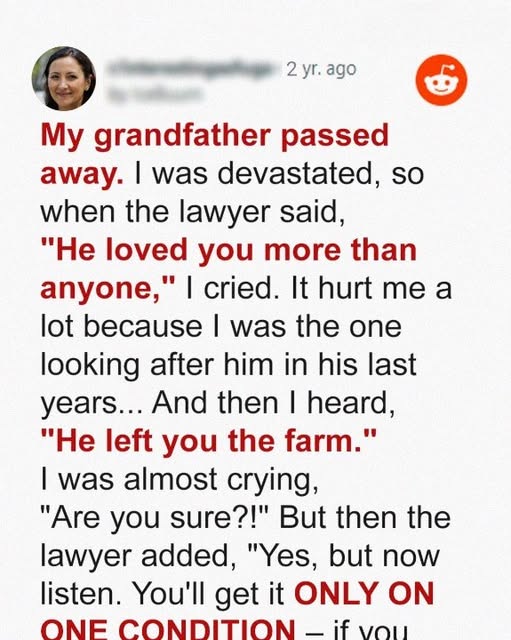 My Late Grandfather Willed Me His Farm—But Only on the Condition That I Spend My First Night Sleeping in the Barn