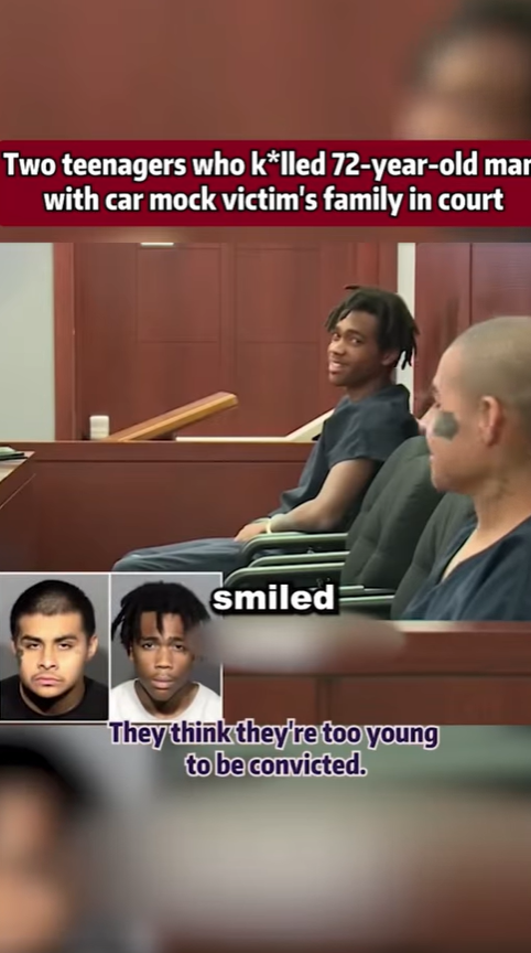  Two Boys Kill 72-Year-Old Man With Car… Then Laugh at His Family in Court 